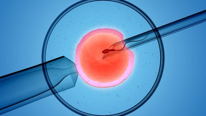 باروری آزمایشگاهی (ivf)